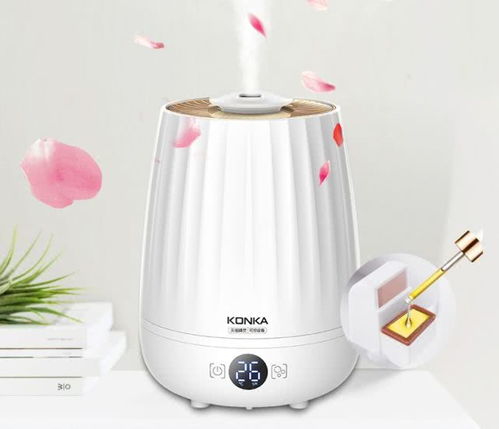 智加設(shè)計(jì)干貨分享 盤(pán)點(diǎn)常見(jiàn)小家電與塑料日用品的創(chuàng)新設(shè)計(jì)