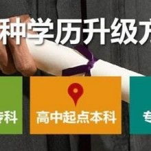 成都市金牌思維教育咨詢有限責任公司 專業教育咨詢，點亮成長之路